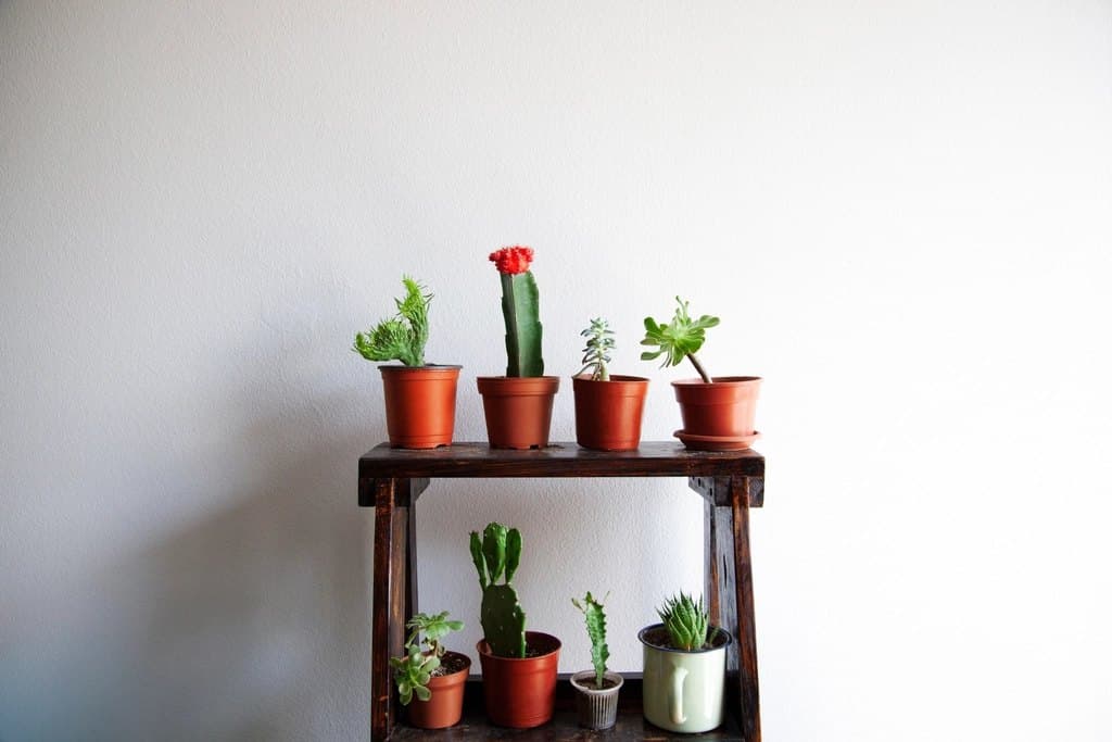 Oak Wall Shelf